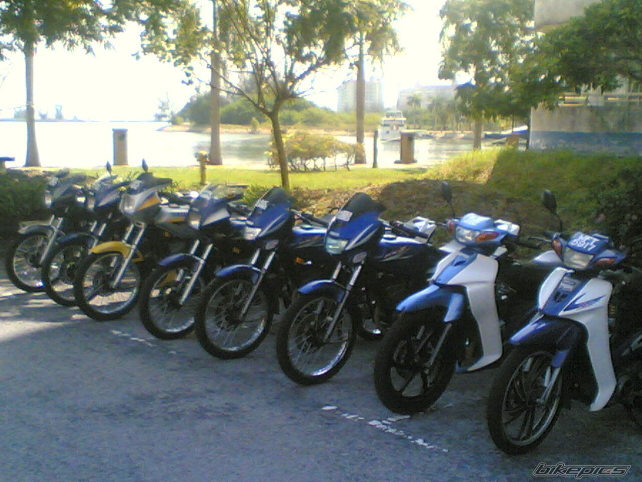    | Picture 1027823 motorcycle photo