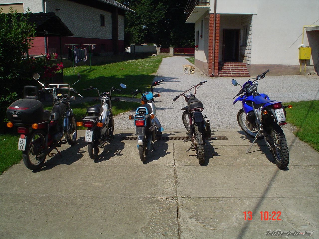2005 TOMOS APN 6 | Picture 1028099 motorcycle photo