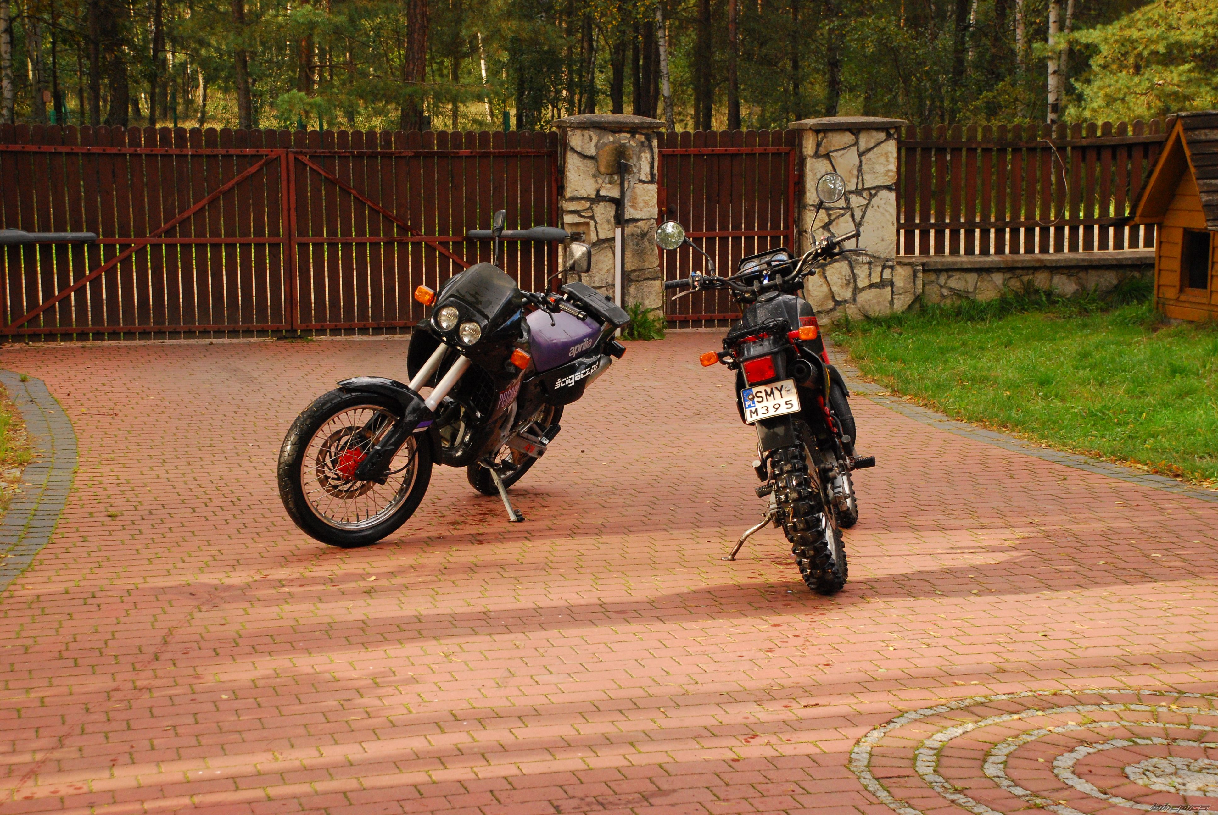 1993 APRILIA PEGASO 125 | Picture 1028299 motorcycle photo