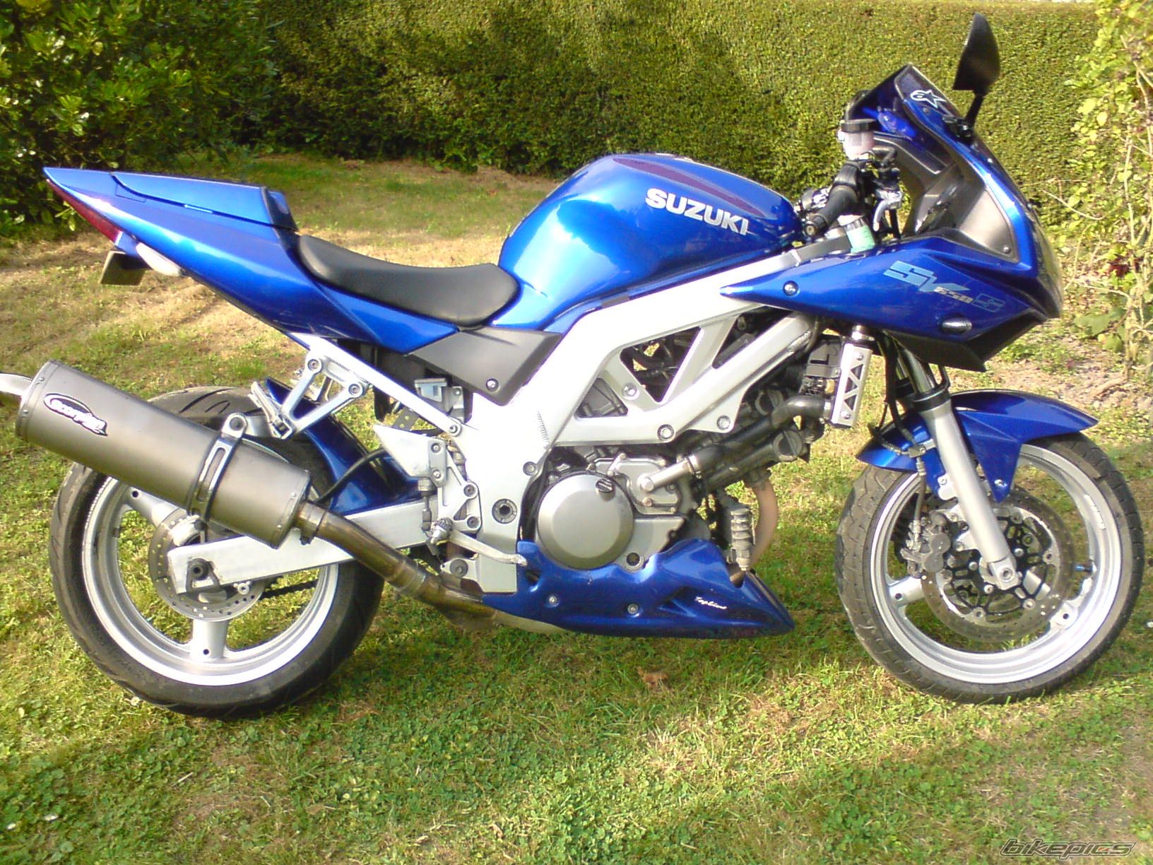 2003 SUZUKI SV 650S | Picture 1028723 motorcycle photo