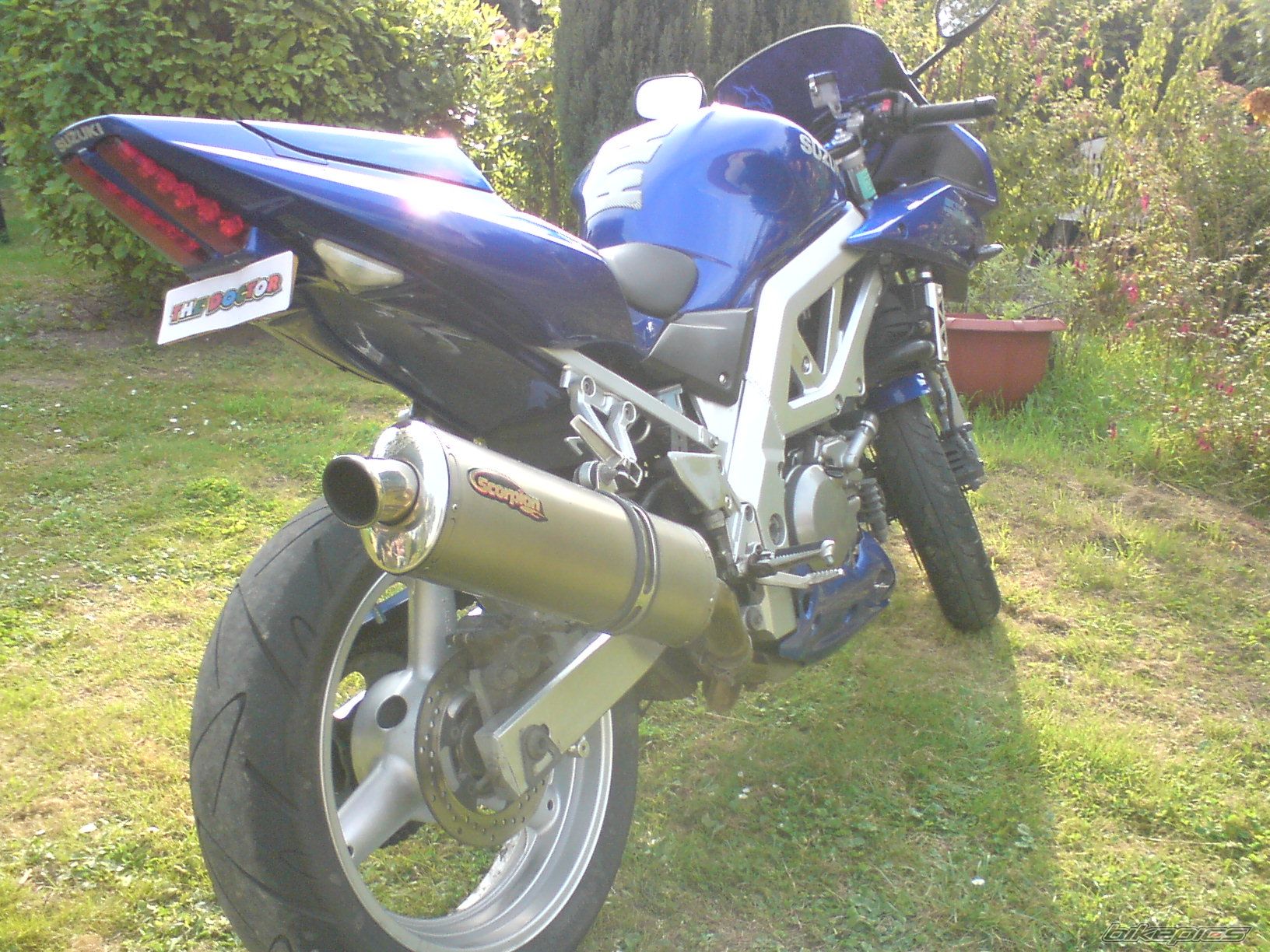 2003 SUZUKI SV 650S | Picture 1028730 motorcycle photo