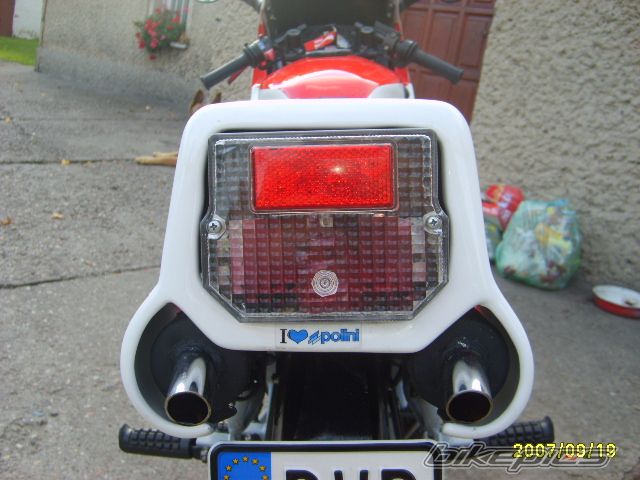 1988 MALAGUTI RST 50 | Picture 1028935 motorcycle photo