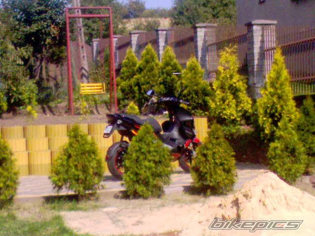 2007 GILERA RUNNER 50 | Picture 1029086 motorcycle photo