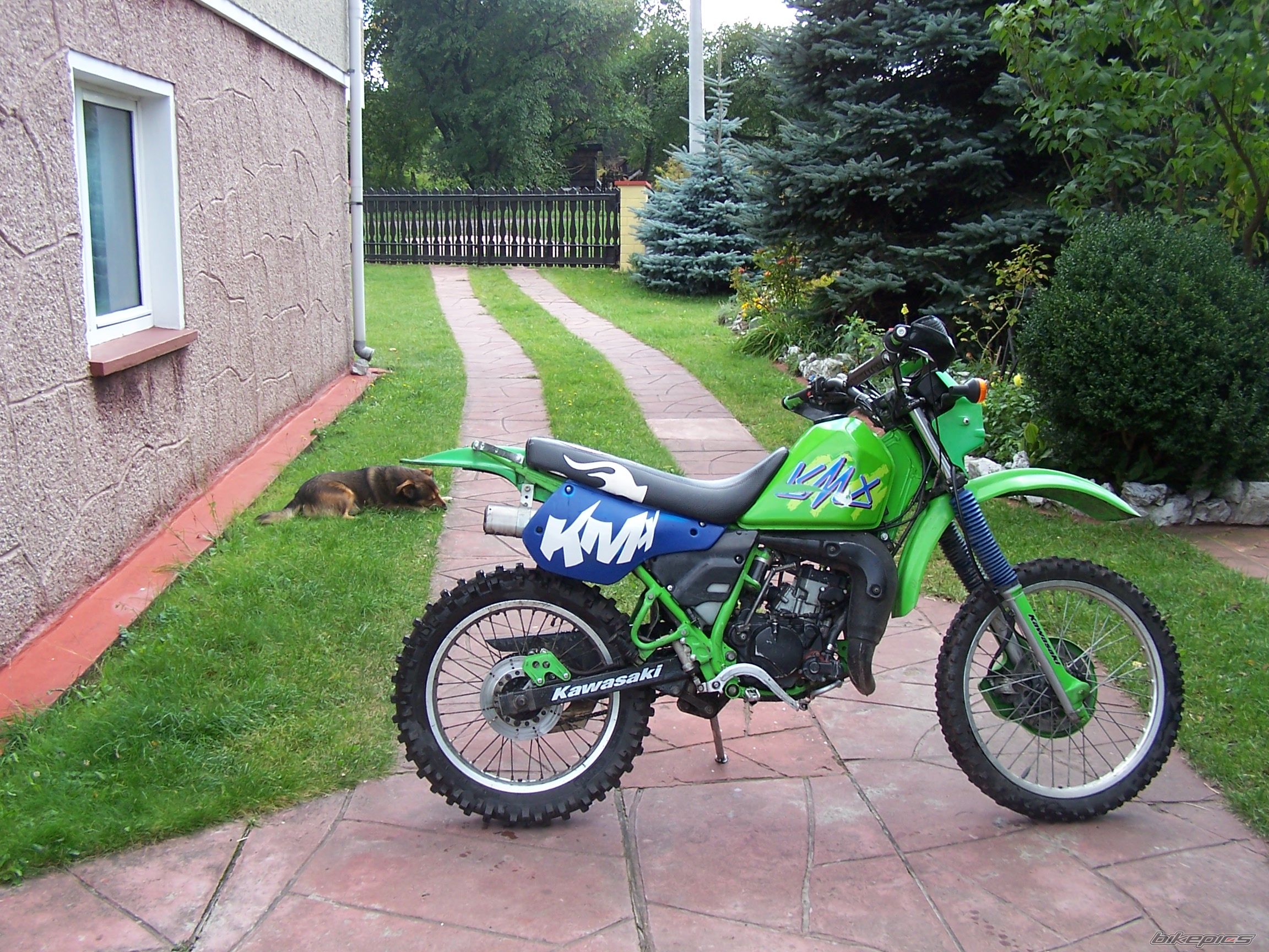 1993 KAWASAKI KMX 125 | Picture 1029844 motorcycle photo