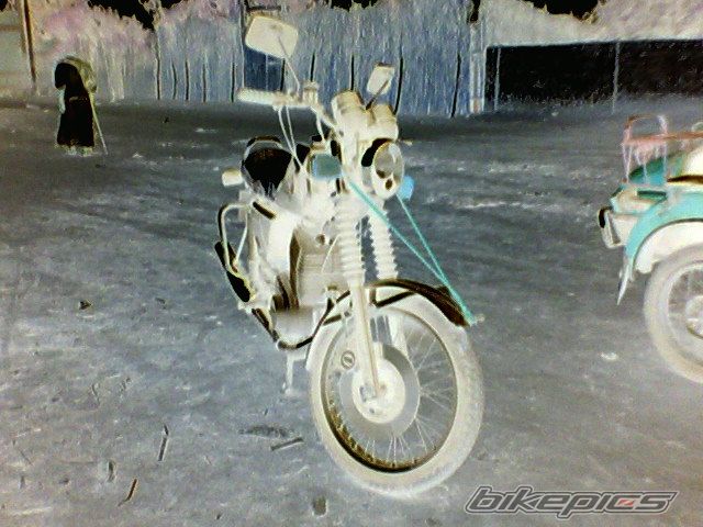 1999 MZ ETZ 250 | Picture 1030301 motorcycle photo