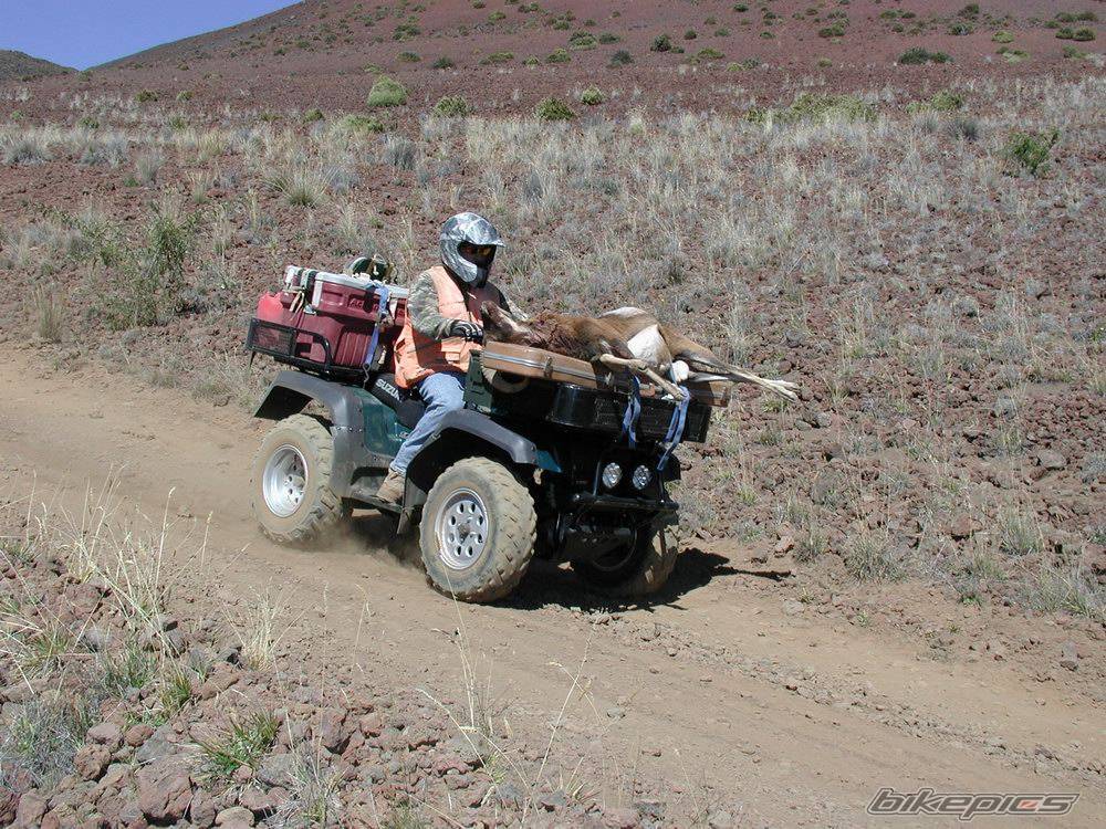 2004 YAMAHA WOLVERINE | Picture 103046 motorcycle photo