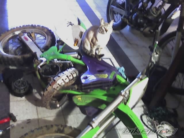 2007 KAWASAKI KX 125 | Picture 1030806 motorcycle photo