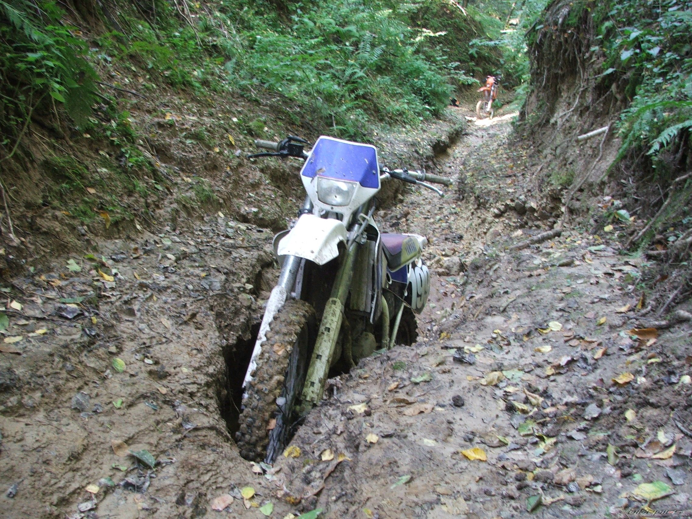 1994 YAMAHA YZ 125 | Picture 1031340 motorcycle photo