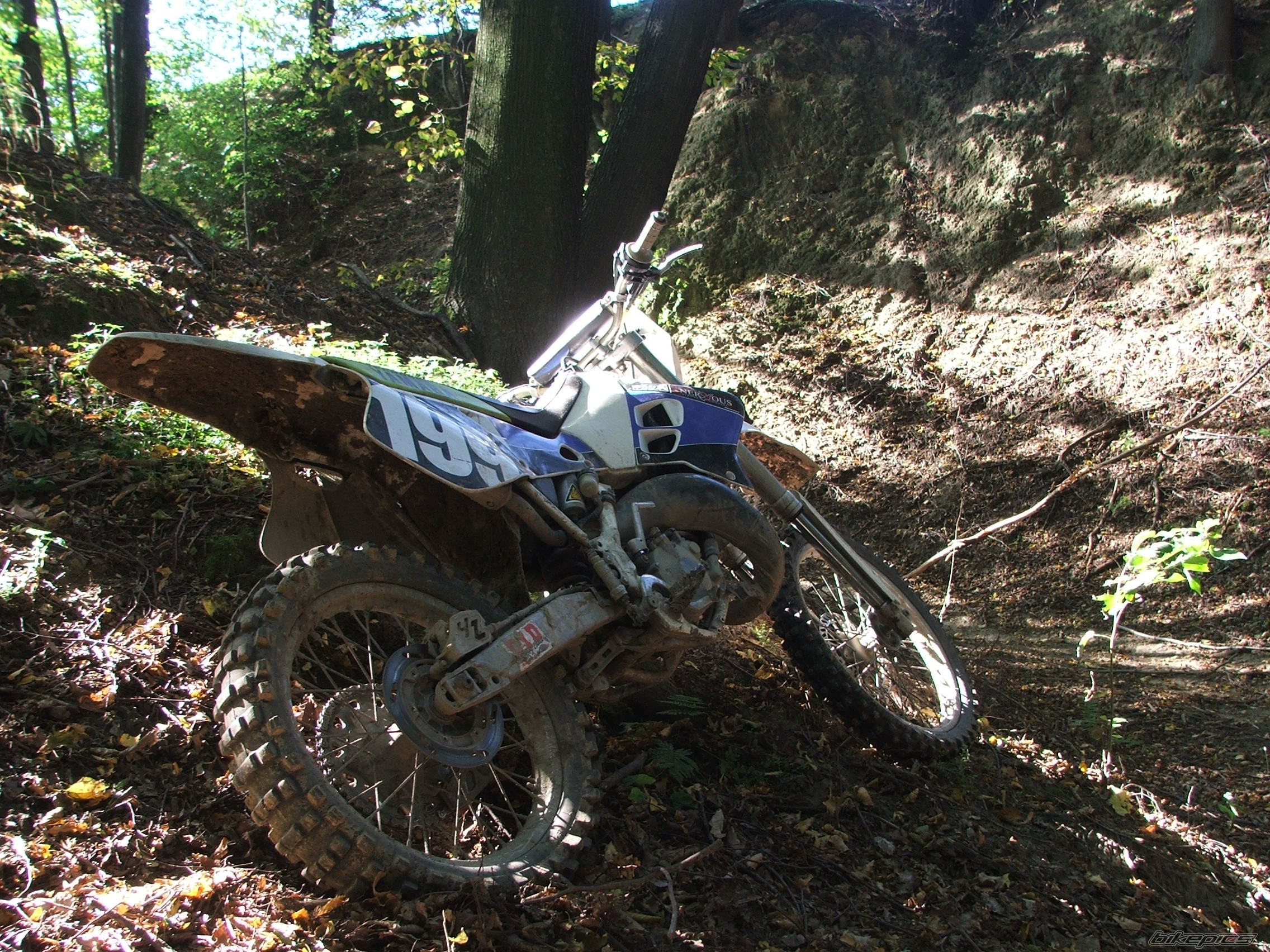 1994 YAMAHA YZ 125 | Picture 1031408 motorcycle photo