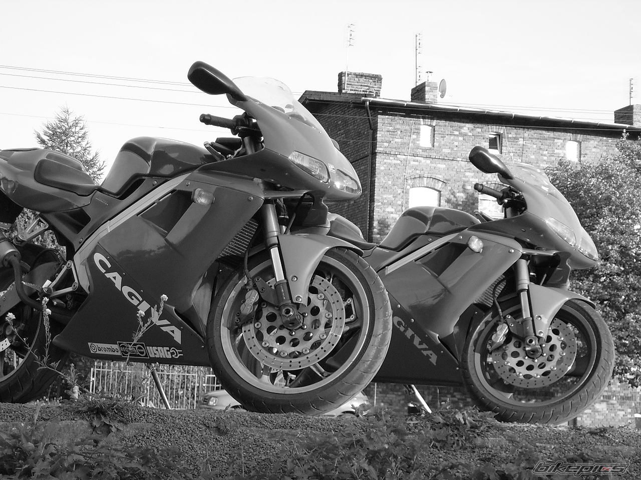 2005 DERBI SENDA DRD SM 50 | Picture 1031609 motorcycle photo