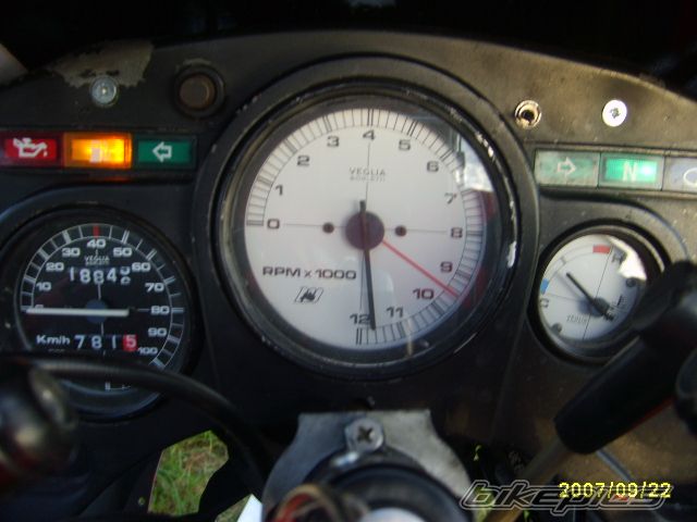 1988 MALAGUTI RST 50 | Picture 1032020 motorcycle photo