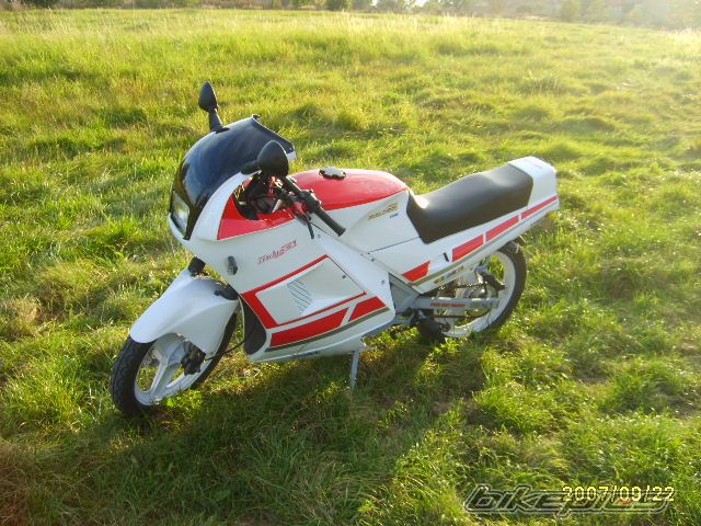 1988 MALAGUTI RST 50 | Picture 1032024 motorcycle photo