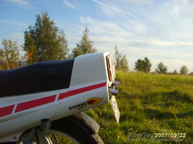 1988 MALAGUTI RST 50 | Picture 1032028 motorcycle photo