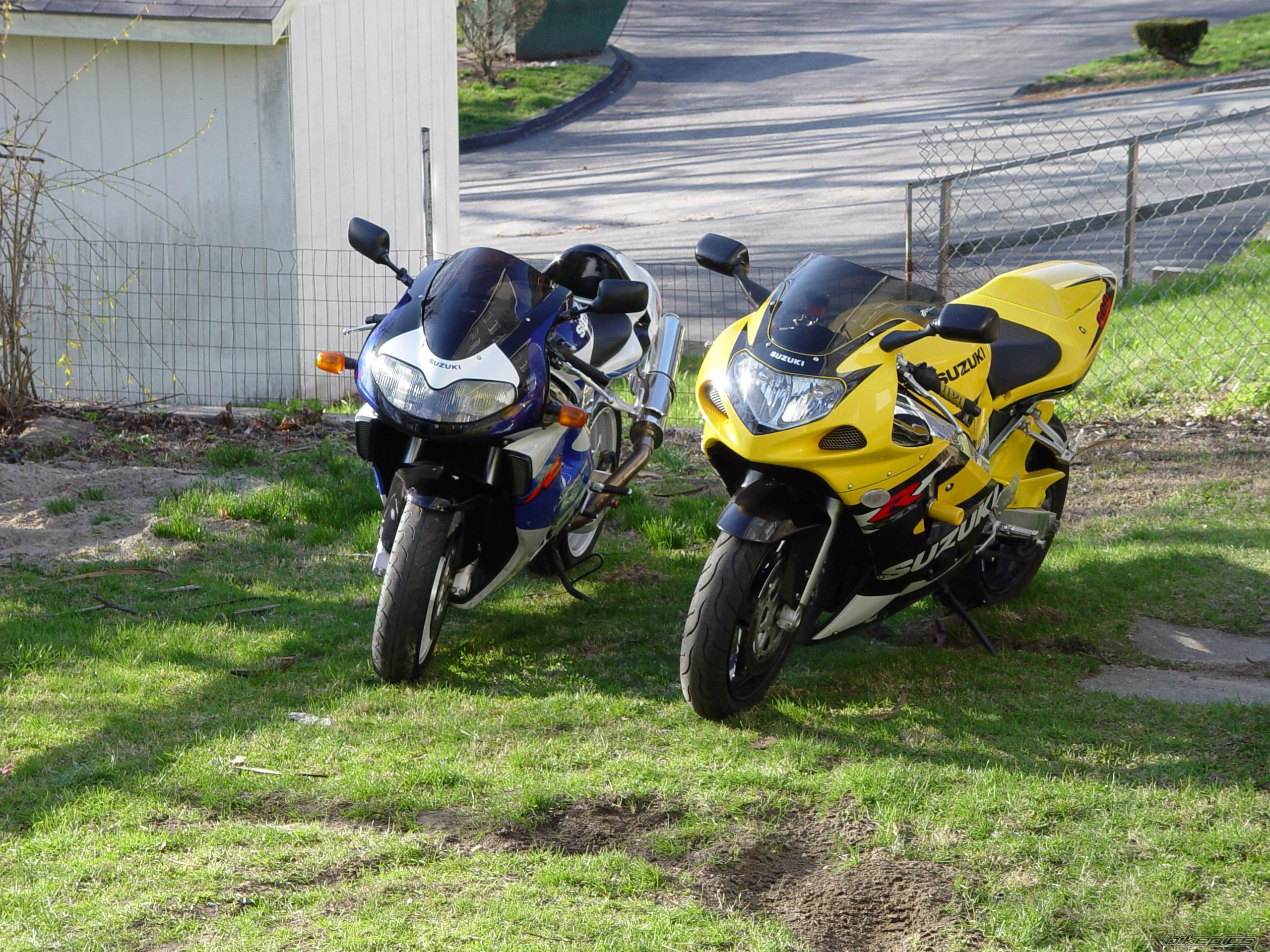 1999 SUZUKI TL1000R | Picture 1032637 motorcycle photo