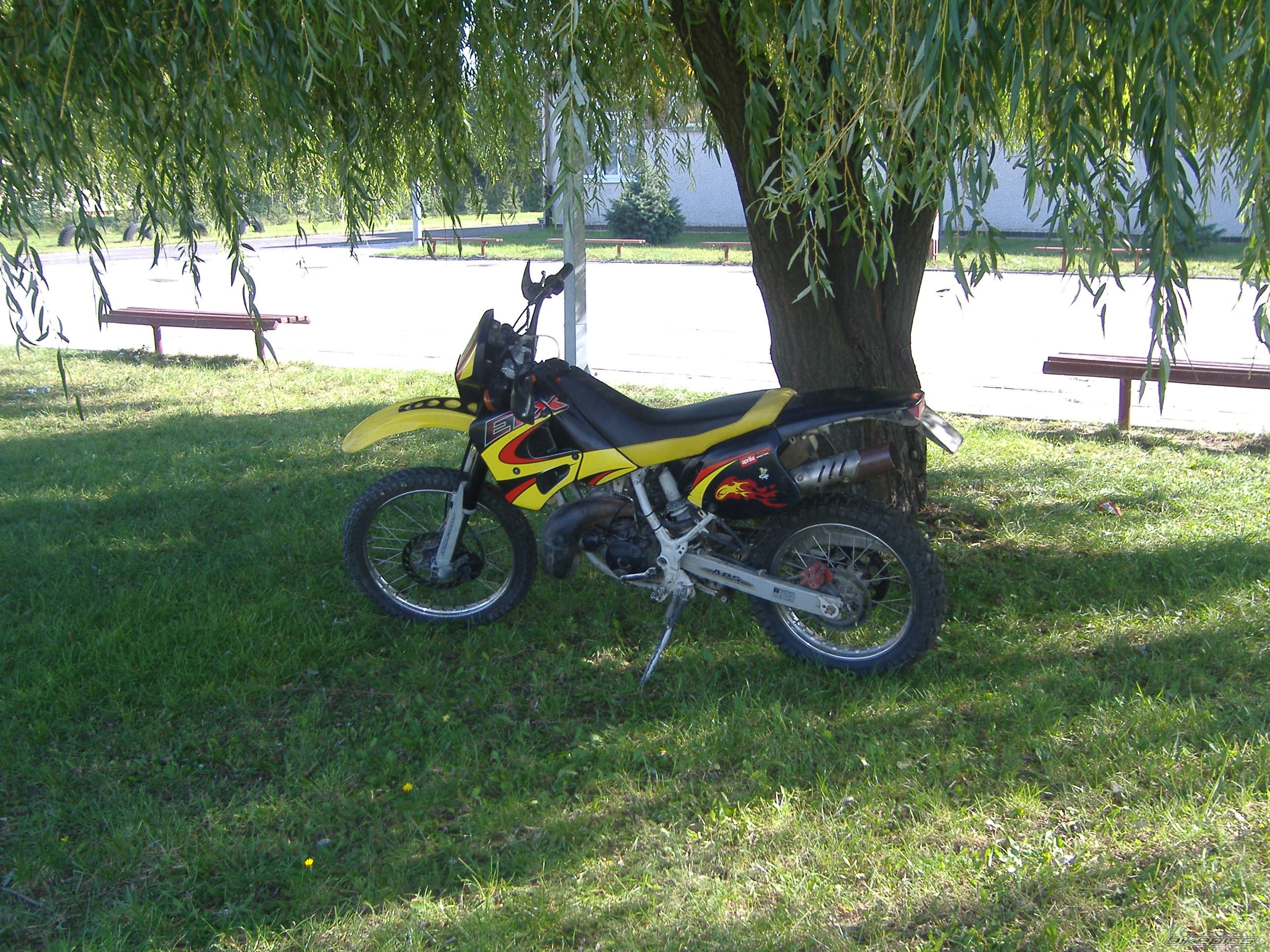 2001 APRILIA ETX 125 | Picture 1032932 motorcycle photo