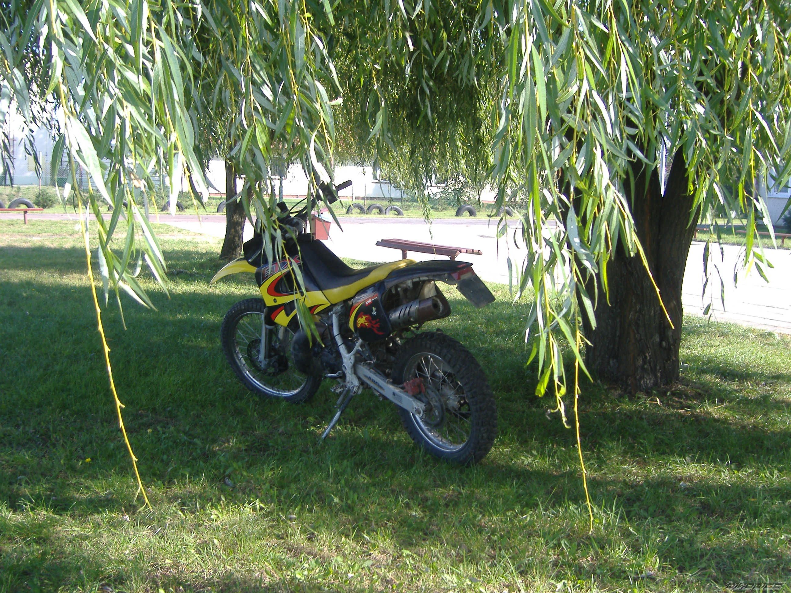 2001 APRILIA ETX 125 | Picture 1032936 motorcycle photo