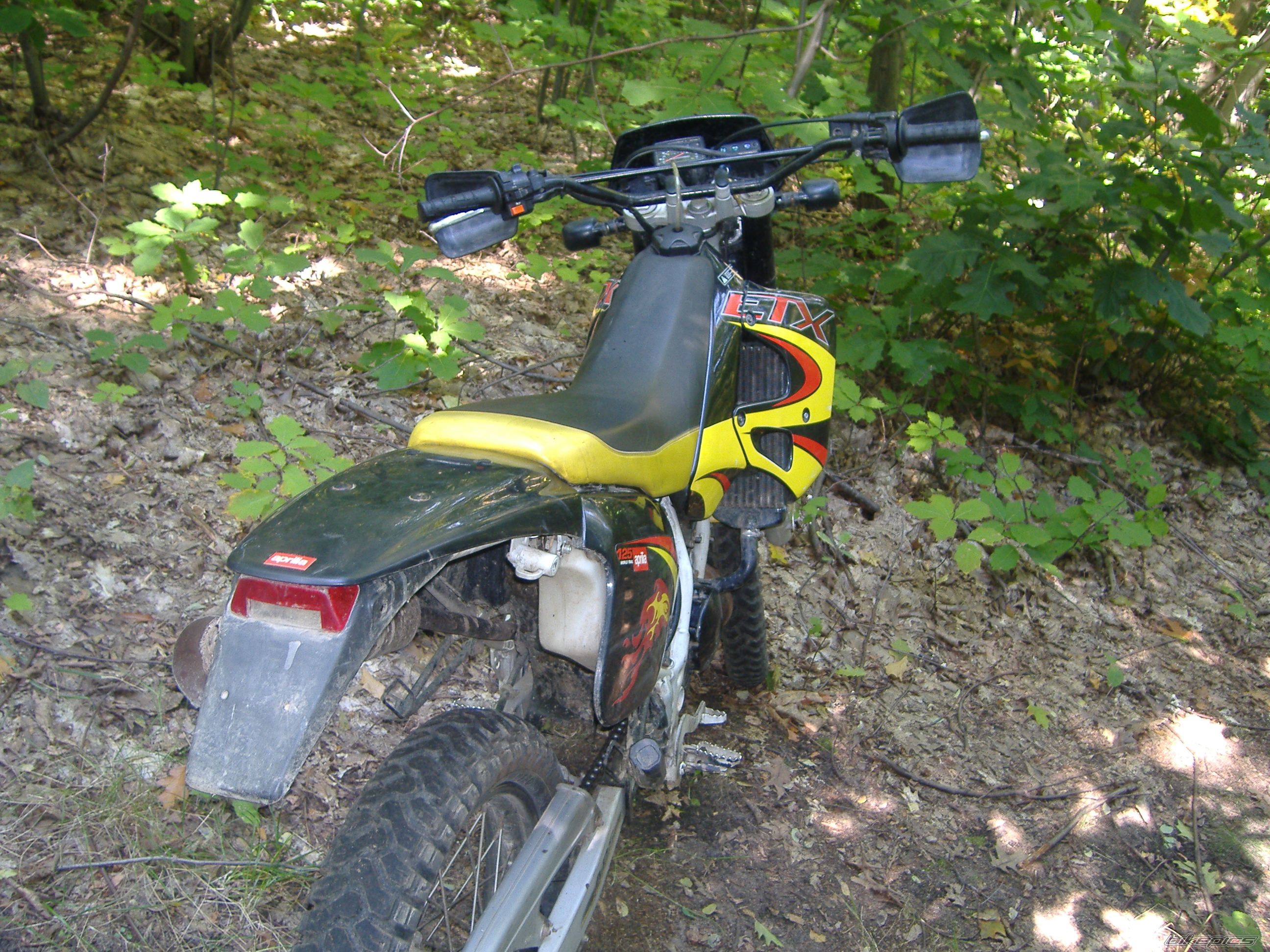2001 APRILIA ETX 125 | Picture 1032961 motorcycle photo