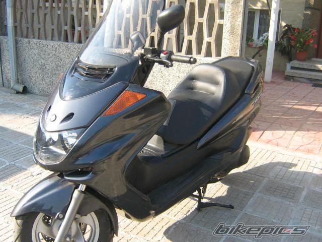 2005 YAMAHA MAJESTY 250 | Picture 1033096 motorcycle photo