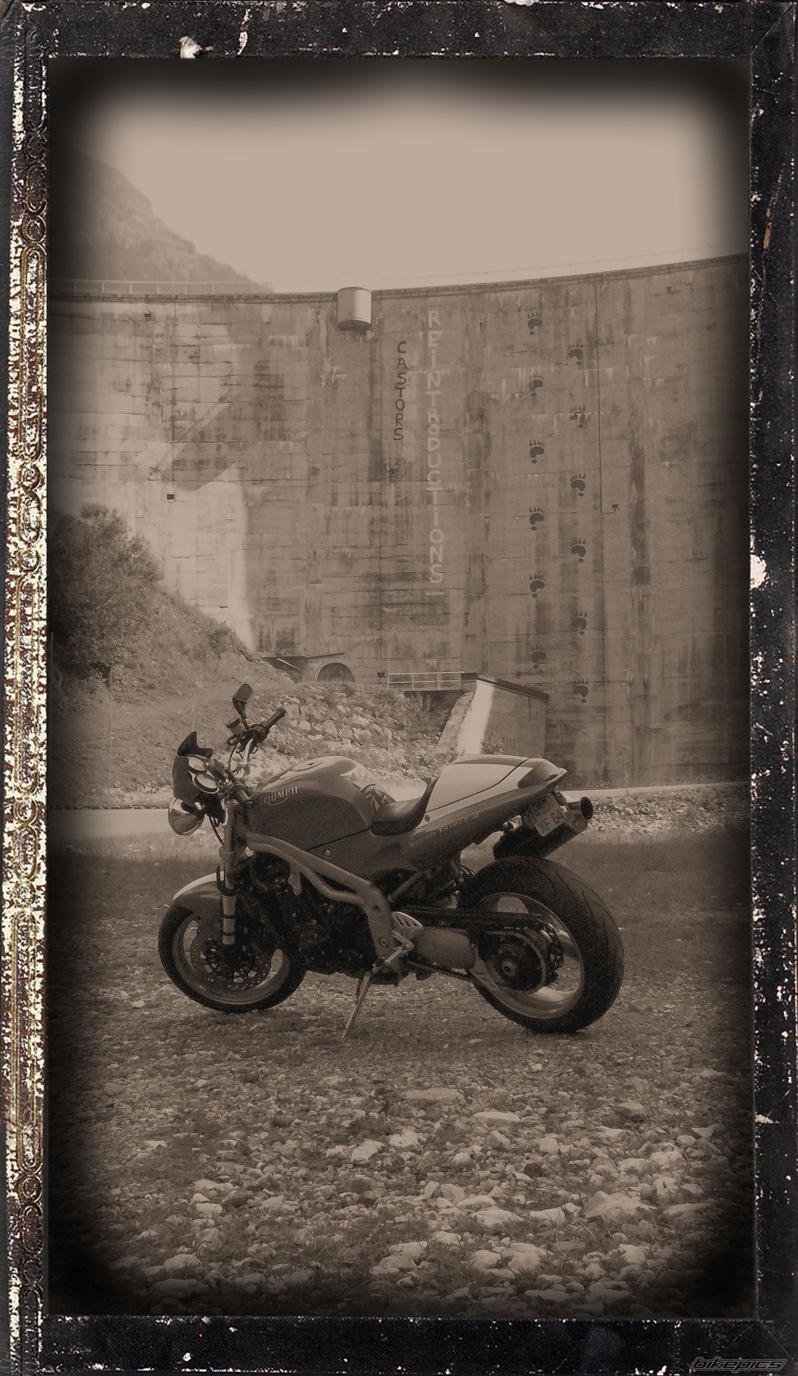 2001 TRIUMPH SPEED TRIPLE | Picture 1033418 motorcycle photo