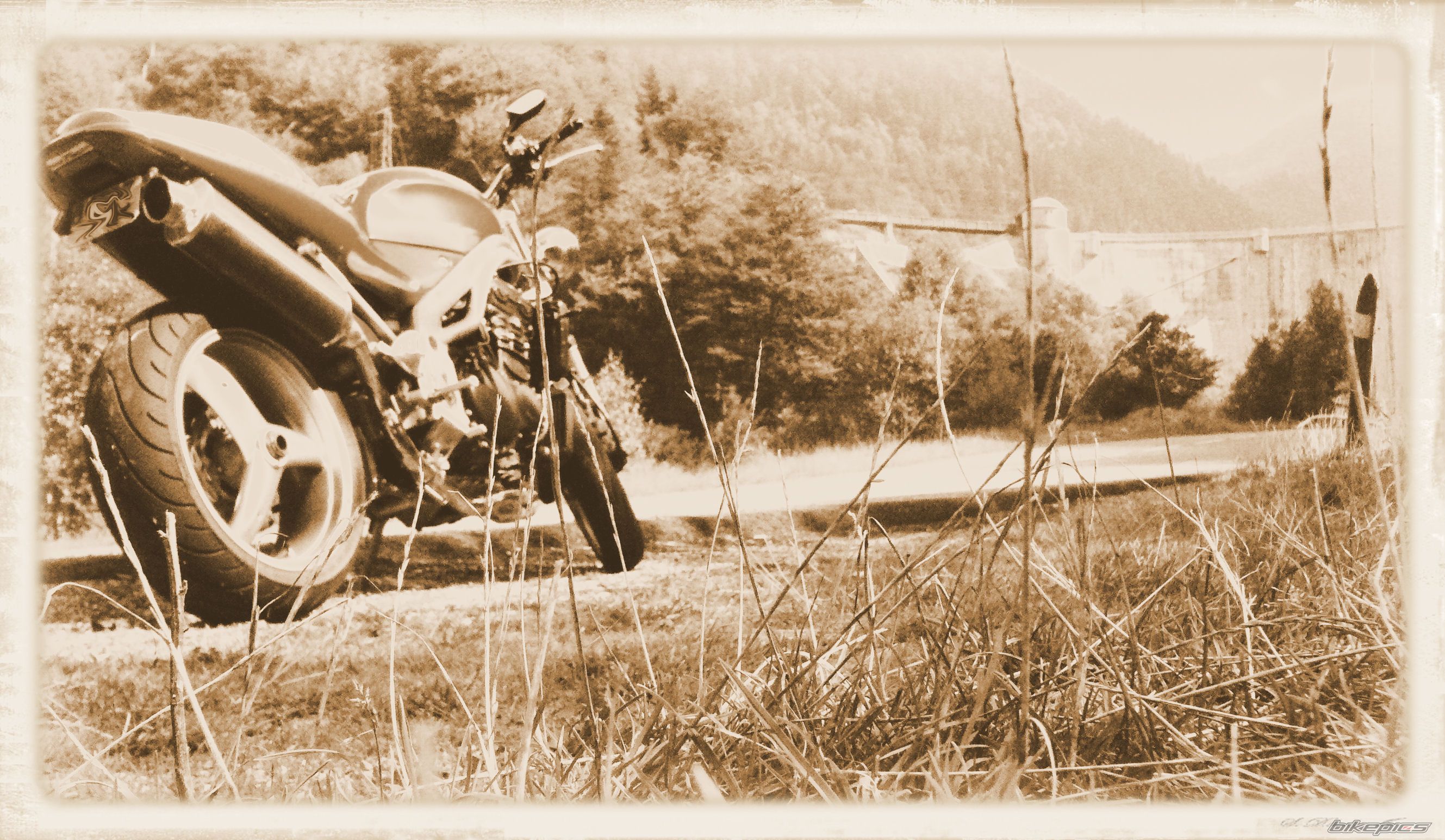 2001 TRIUMPH SPEED TRIPLE | Picture 1033424 motorcycle photo
