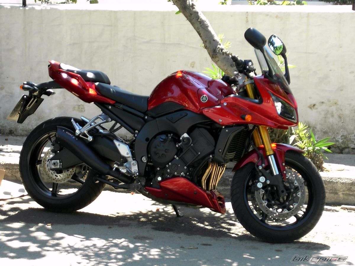 2006 YAMAHA FZ 1 | Picture 1033863 motorcycle photo