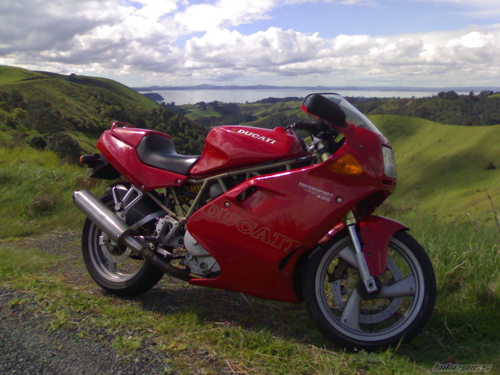 1998 DUCATI 600 SS | Picture 1033893 motorcycle photo