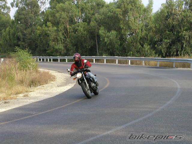 1994 HONDA CB 500 | Picture 103396 motorcycle photo