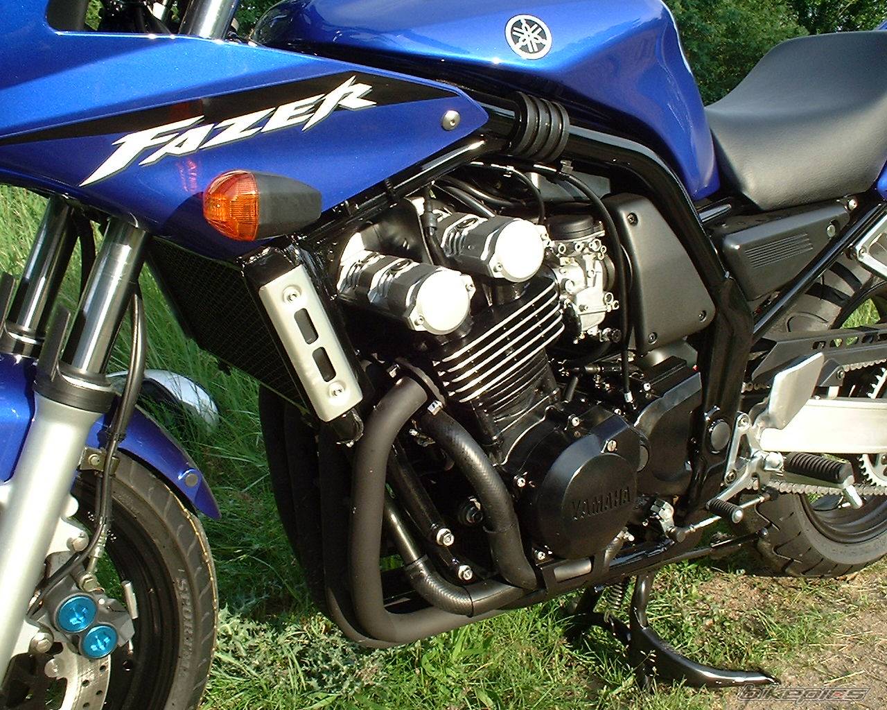 2003 YAMAHA FZ6 FAZER | Picture 103419 motorcycle photo