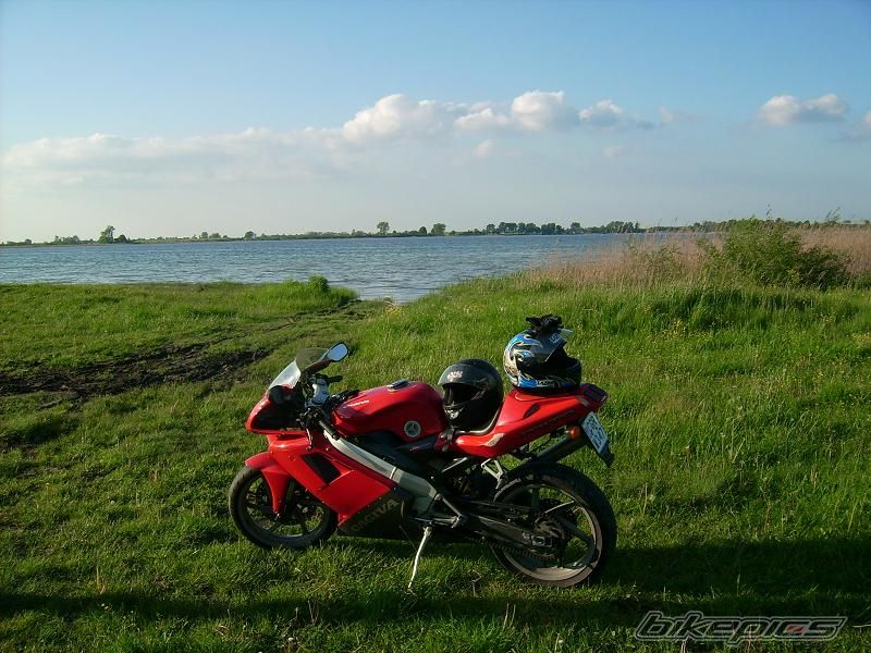 2005 DERBI SENDA DRD SM 50 | Picture 1034212 motorcycle photo