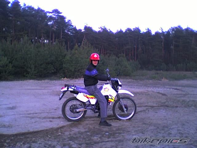 1995 YAMAHA DT 80 | Picture 1034300 motorcycle photo