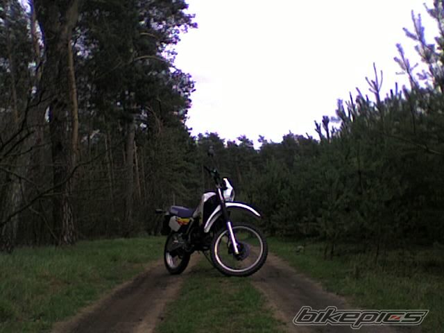 1995 YAMAHA DT 80 | Picture 1034306 motorcycle photo