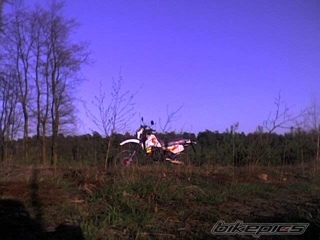 1995 YAMAHA DT 80 | Picture 1034313 motorcycle photo