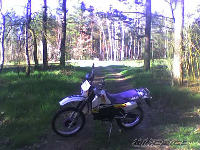 1995 YAMAHA DT 80 | Picture 1034329 motorcycle photo
