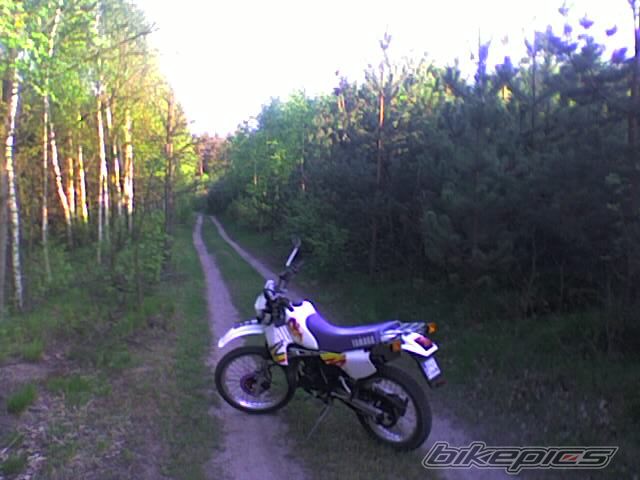 1995 YAMAHA DT 80 | Picture 1034330 motorcycle photo