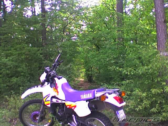 1995 YAMAHA DT 80 | Picture 1034340 motorcycle photo