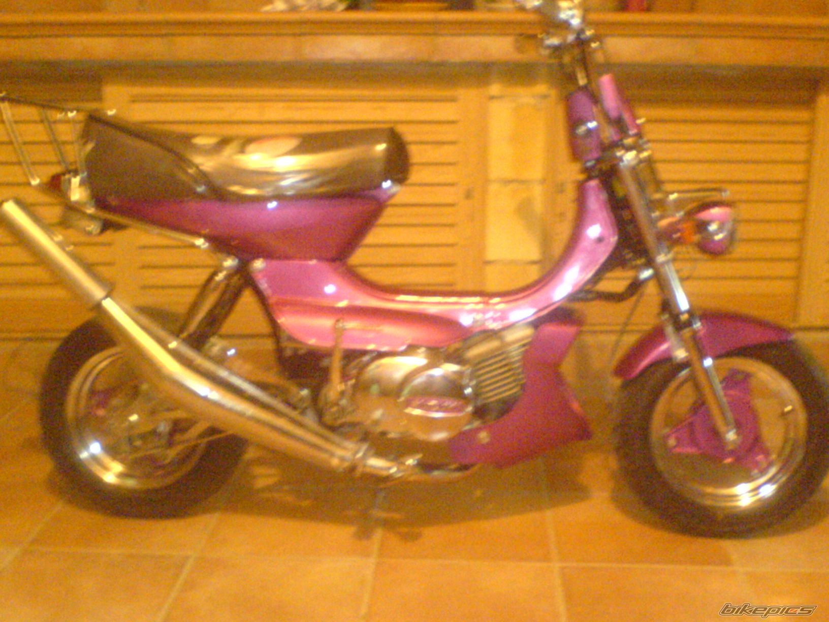 1998 HONDA CHALY | Picture 1034341 motorcycle photo