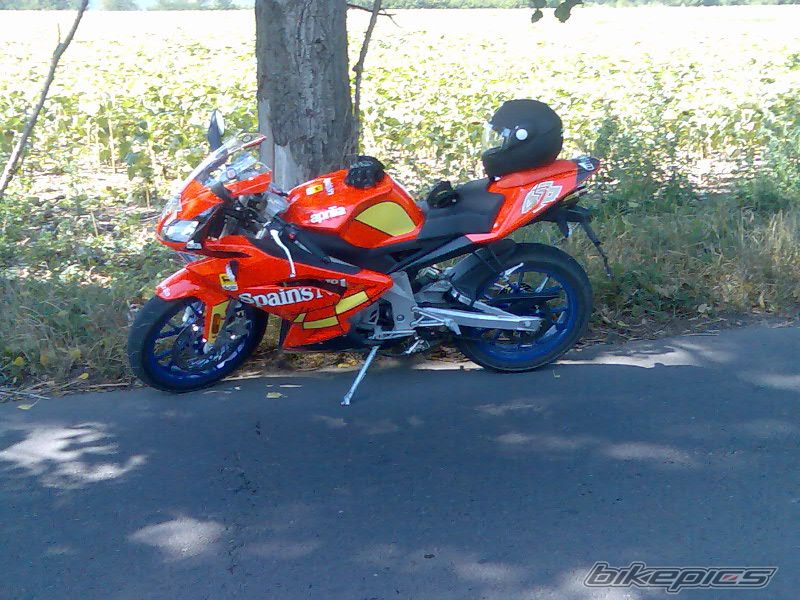 2007 APRILIA RS 50 | Picture 1034408 motorcycle photo