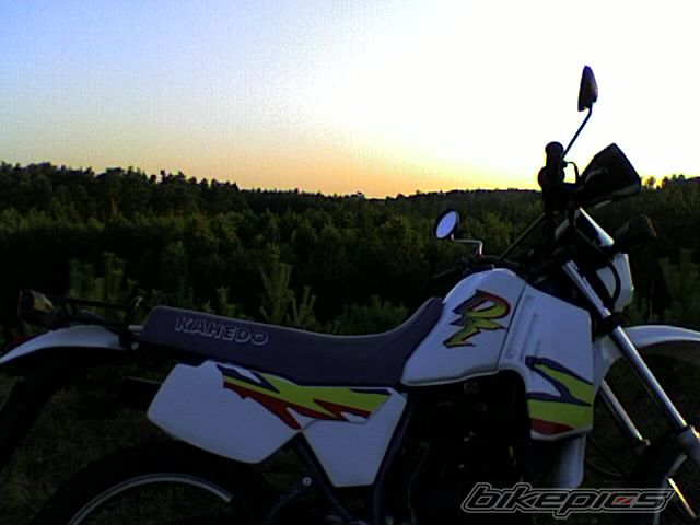 1995 YAMAHA DT 80 | Picture 1034701 motorcycle photo