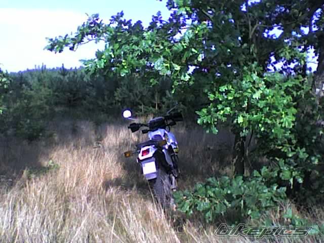 1995 YAMAHA DT 80 | Picture 1034706 motorcycle photo