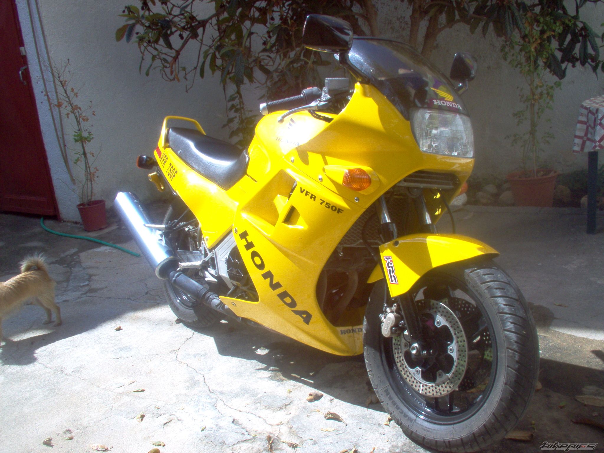 1989 HONDA VFR 750 | Picture 1034919 motorcycle photo
