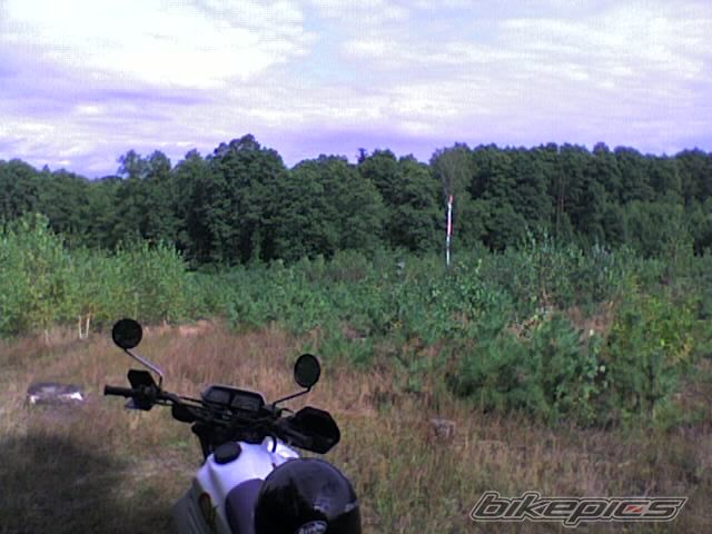 1995 YAMAHA DT 80 | Picture 1035563 motorcycle photo