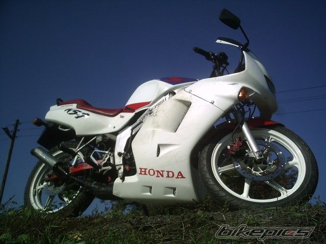 1994 HONDA NS1 80 | Picture 1035567 motorcycle photo