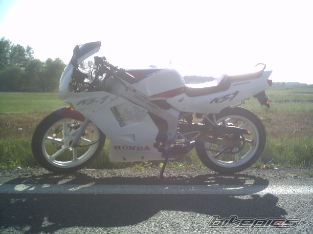 1994 HONDA NS1 80 | Picture 1035571 motorcycle photo