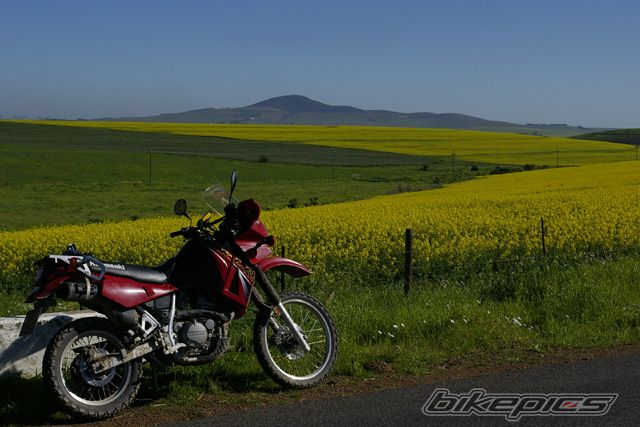 2004 KAWASAKI KLR 650 | Picture 1036014 motorcycle photo
