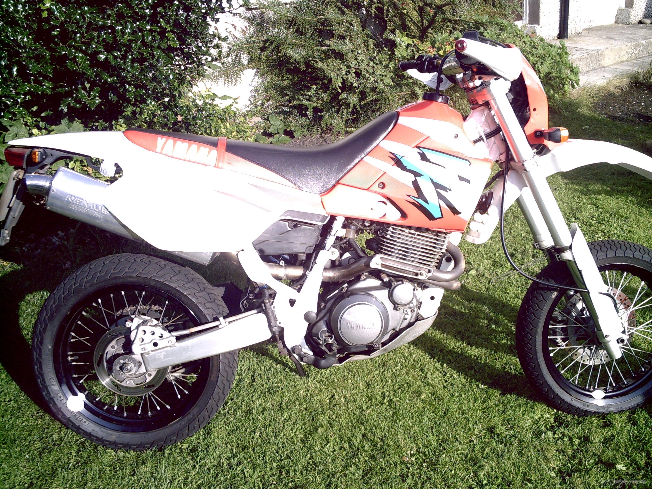 1997 YAMAHA TTR 600 | Picture 1036016 motorcycle photo
