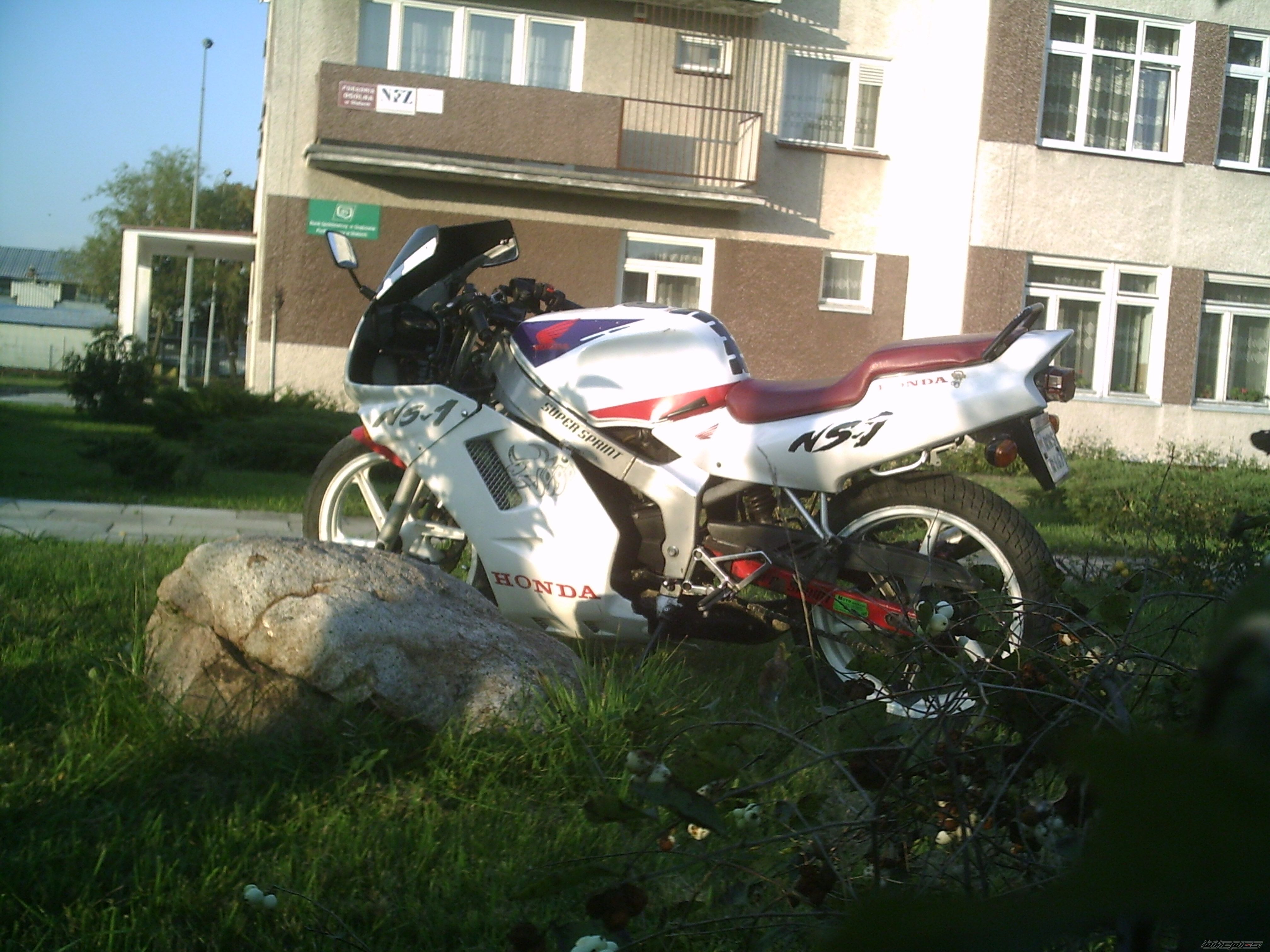 1994 HONDA NS1 80 | Picture 1036110 motorcycle photo