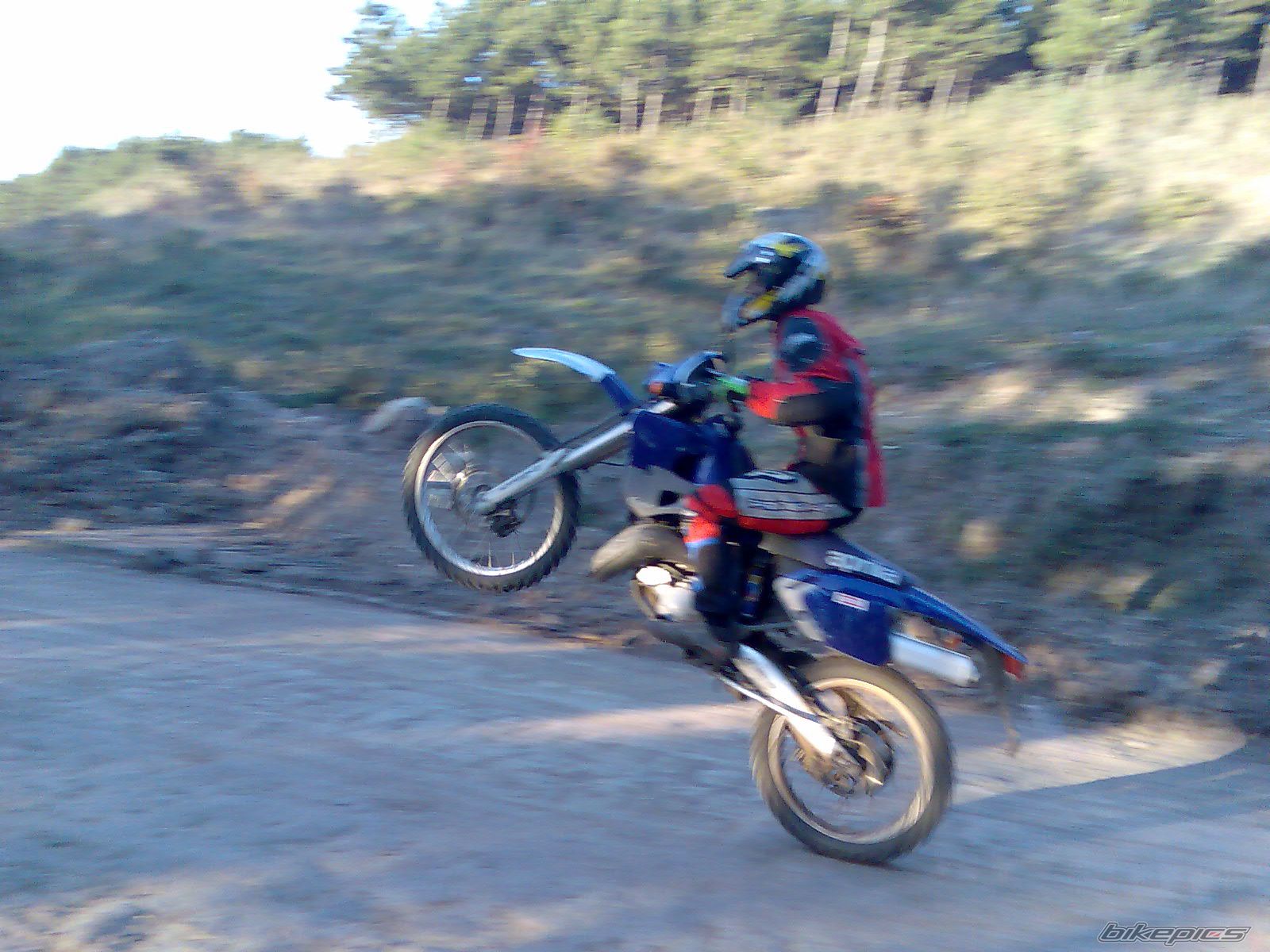 1996 APRILIA RX 125 | Picture 1036336 motorcycle photo
