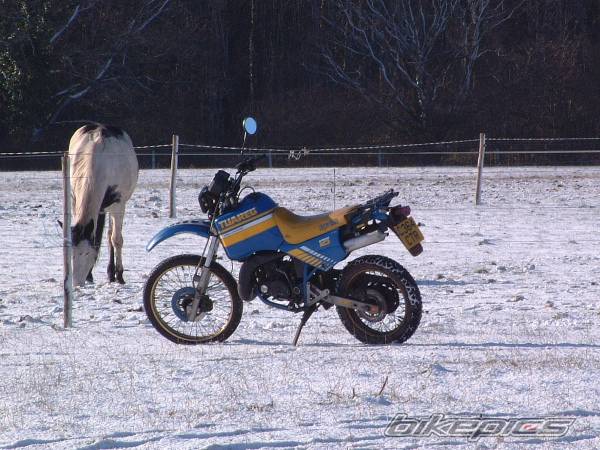 1986 APRILIA TUAREG ETX 125 | Picture 103662 motorcycle photo
