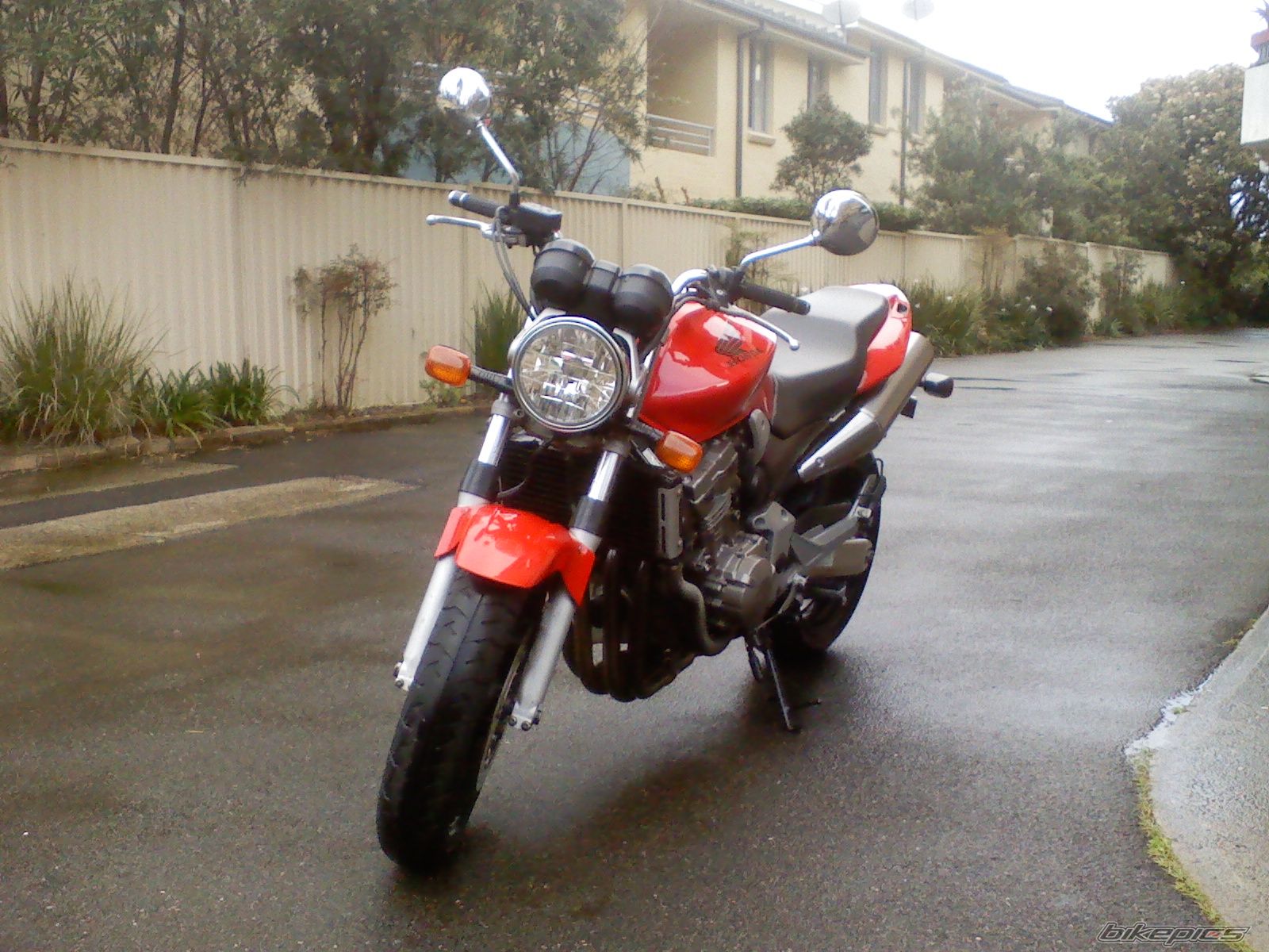 2002 HONDA CB 900 F | Picture 1036650 motorcycle photo