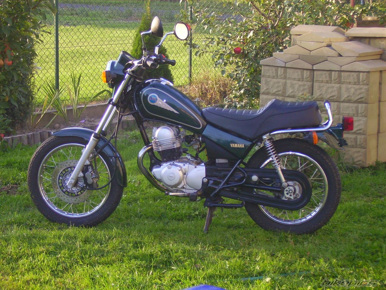 1998 YAMAHA SR 125 | Picture 1036842 motorcycle photo